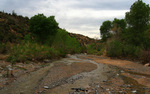 photo thumbnail #11
