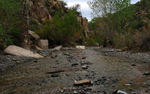photo thumbnail #14