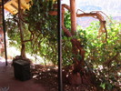 photo thumbnail #8
