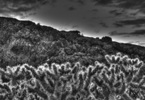 photo thumbnail #1
