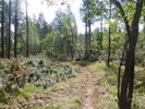 photo thumbnail #3