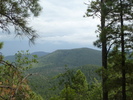 photo thumbnail #14