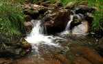 photo thumbnail #4