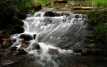 photo thumbnail #9