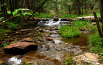 photo thumbnail #10