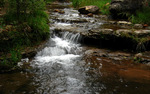 photo thumbnail #12
