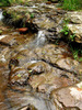 photo thumbnail #13