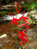 photo thumbnail #14