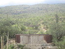 recent photo