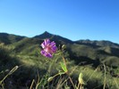 photo thumbnail #1