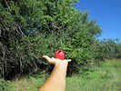 photo thumbnail #7