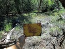 photo thumbnail #13