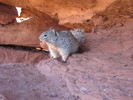 photo thumbnail #4