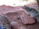 photo thumbnail #5