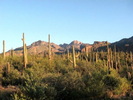 photo thumbnail #6