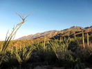 photo thumbnail #12