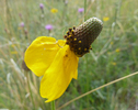 photo thumbnail #10