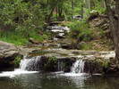photo thumbnail #13