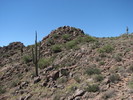 photo thumbnail #3