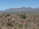photo thumbnail #8