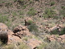 photo thumbnail #14