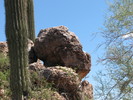 photo thumbnail #15