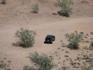 photo thumbnail #11