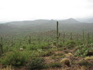 photo thumbnail #10