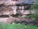 photo thumbnail #12