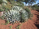 photo thumbnail #8