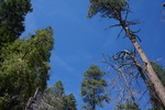 photo thumbnail #8
