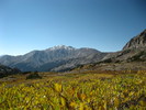 photo thumbnail #7