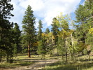 photo thumbnail #15