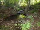 photo thumbnail #9