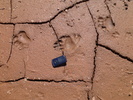 photo thumbnail #15