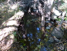 Featured Detail Photo