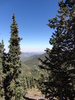 photo thumbnail #15