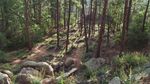 photo thumbnail #4