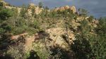 photo thumbnail #5