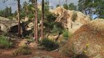 photo thumbnail #8