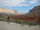 photo thumbnail #2