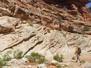 photo thumbnail #11
