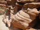 photo thumbnail #13