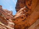 photo thumbnail #14
