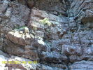 photo thumbnail #11