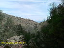 photo thumbnail #13