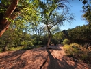 photo thumbnail #5