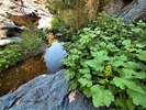 photo thumbnail #13