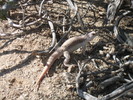 photo thumbnail #2