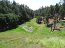 photo thumbnail #14